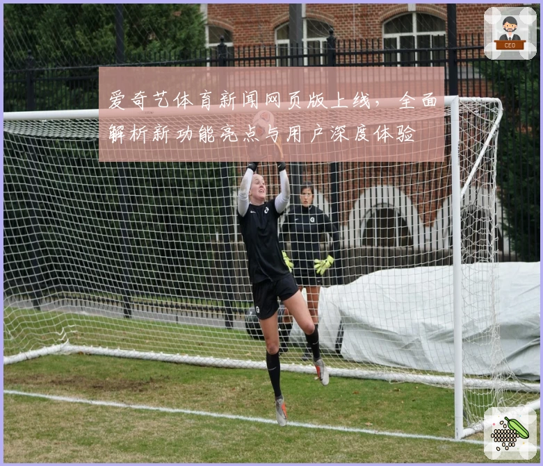 爱奇艺体育新闻网页版上线，全面解析新功能亮点与用户深度体验