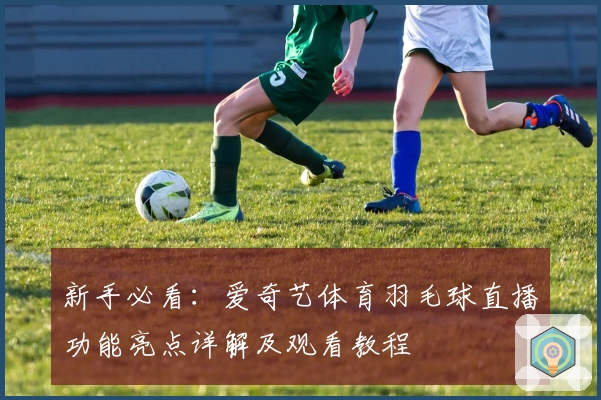 新手必看：爱奇艺体育羽毛球直播功能亮点详解及观看教程