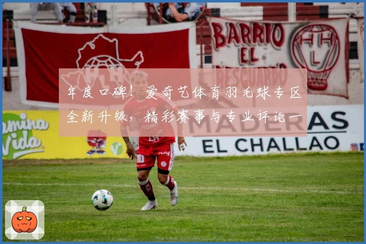 年度口碑！爱奇艺体育羽毛球专区全新升级，精彩赛事与专业评论一站式体验