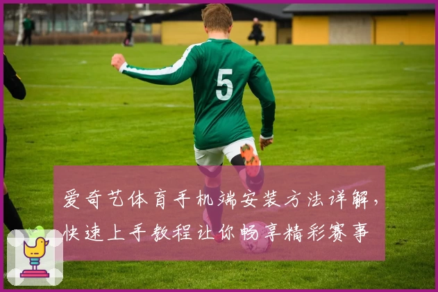 爱奇艺体育手机端安装方法详解，快速上手教程让你畅享精彩赛事